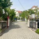 더화이트버치 이미지