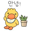 로샌 이미지