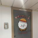 퀸애견 티스토리
