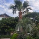 남촌풀하우스 이미지