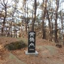 새석장 Daum카페