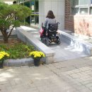 해운대구 대선 투표소 장애인 편의시설 모니터링 이미지