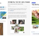 개미전자 이미지