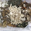 태종한의원 이미지