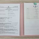 시온행정사사무소 네이버블로그