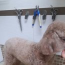 박한준종합동물병원 이미지