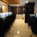 해피로PC 이미지