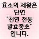발효식품만들기 이미지