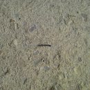 서해타이어 이미지