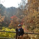 템플스테이를 다녀와서.. 이미지