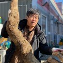 자연밥상 지디넷코리아