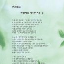 박정자 카카오 검색결과