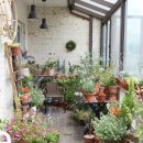 하루의 행복 이미지