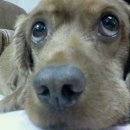 공주휴게소 이미지