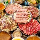 탄천갈매기