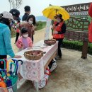 형산강 장미원 이미지