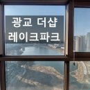 광교더샵레이크파크 | 광교 더샵 레이크 파크 오피스텔 유리창 청소 고층 전체 외창 매도전 작업 후기
