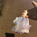 일오삼닭강정 이미지