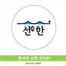 묵호할복장 네이버블로그