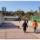 [도로]매탄공원 이미지