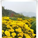 진수농장 이미지