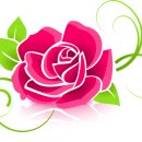 종일스크린골프클럽 | 경상남도 진해구 종일스크린골프클럽, 리뷰, 후기, 가격