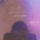 Dream like 이미지