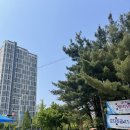 선부11단지 사거리 이미지