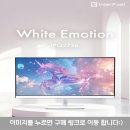 2726 | [쿠팡]화이트 데스크테리어 추천! 인터픽셀 IPQ2726 QHD 27인치 모니터 후기