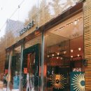 영앤유스