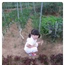 채희농장 이미지