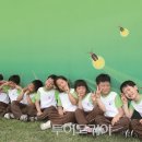 반딧불안경 이미지