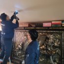 강서기동대 이미지