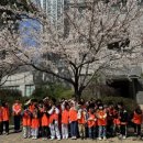 한솔태권도장 이미지