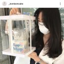 봄봄케이크 이미지