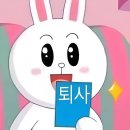 11월 결산 | 이렇게 살고 있습니다