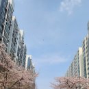 교육로 10 이미지