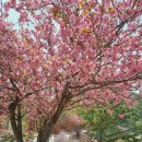 연인의길(조형물10 이미지