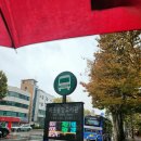 (주)트립티마포중앙도서관구내식당 이미지