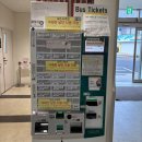 용호고등학교 맞은편 버스정류소 | [일본/대마도] 히타카츠-이즈하라 버스 탑승 후기 및 장소, 버스 1일권 티켓 가격