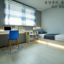 더뷰룩스 이미지