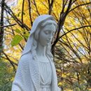 (주)피알파트너스 이미지