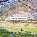 후리교 | 경기도 여주 가볼만한곳 추천 숨은 벚꽃 명소 여주 여행 드라이브