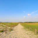 사구해수욕장2 이미지