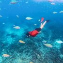 보라카이 가이드맨 | 보라카이 여행 시기 호핑투어 준비물 가이드맨 패키지 후기