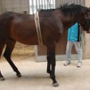 장수목장2 이미지