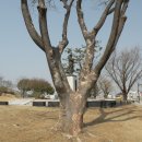 진주성 서장대 이미지