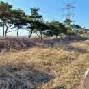 대호만로2 이미지