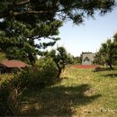 숲속의펜션 이미지