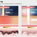 세컨드웨이